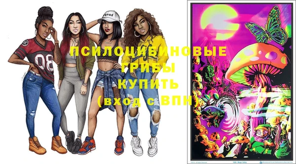 дмт Инта