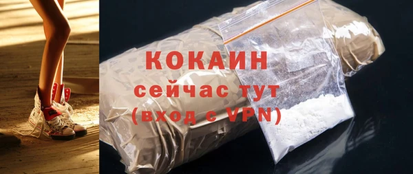 дмт Инта