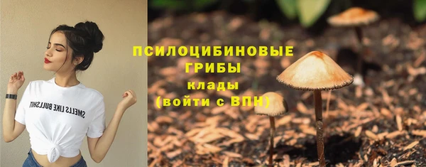 дмт Инта