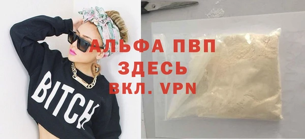 дмт Инта
