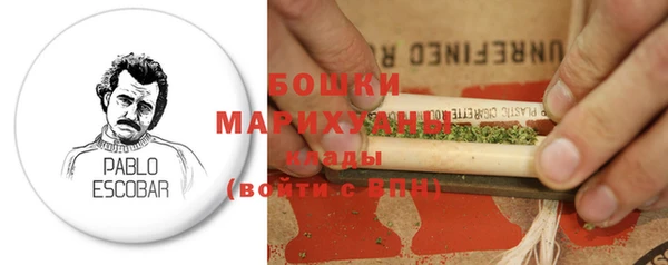 дмт Инта
