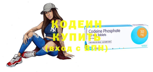дмт Инта