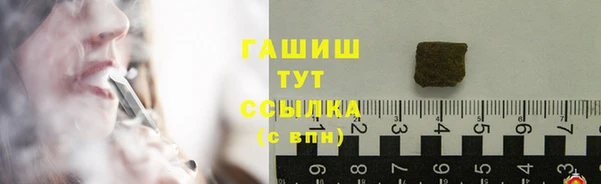 дмт Инта