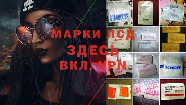 дмт Инта