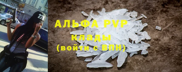 дмт Инта
