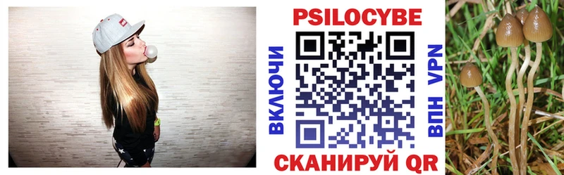 Купить  Никольское  Псилоцибиновые грибы мухоморы 